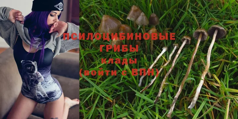 Псилоцибиновые грибы Psilocybine cubensis  МЕГА как войти  Миньяр 